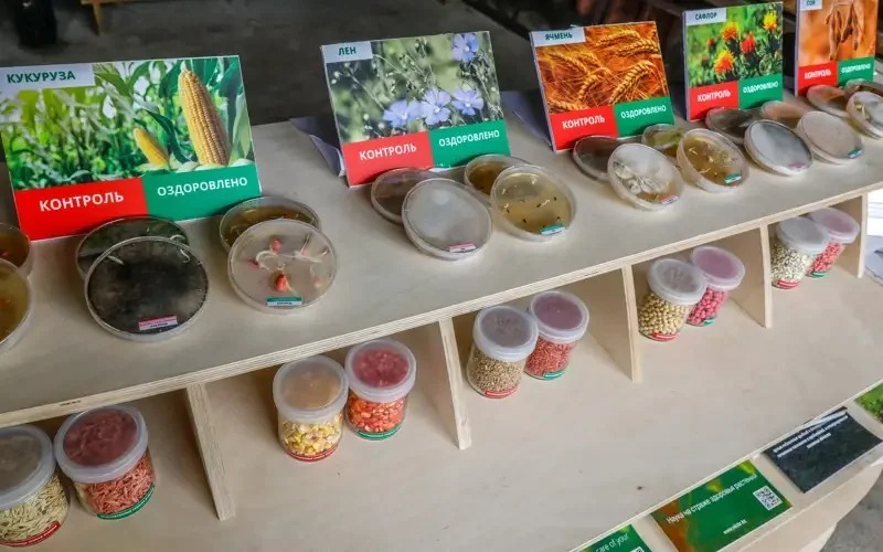 Казахстан обновляет правила хранения и утилизации пестицидов